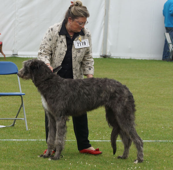 Tiobraidh Solo Venture to Kilbourne